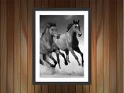 Quadro Decorativo Animais Cavalos Salas Decorações Com Moldura