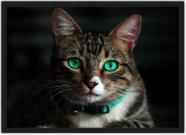 Quadro Decorativo Animais Gatos Pet Shop Com Moldura Salas Decorações