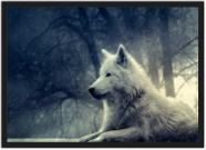Quadro Decorativo Animais Lobo Com Moldura Salas Decorações Interiores Quadro Decorativo Animais Lobo Com Moldura Salas Decorações Interiores