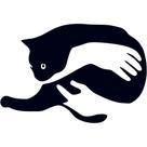 Quadro Decorativo Aplique Parede Gato Preto Felino Mdf 3mm