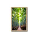 Quadro Decorativo Árvore Bambu: Mod. 0363