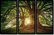 Quadro Decorativo Árvore Por do Sol 3 peças Quadro Decorativo Árvore Por do Sol 3 peças