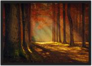 Quadro Decorativo Árvores Entrando O Sol Paisagem Natureza Decorações Com Moldura