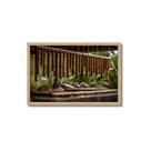 Quadro Decorativo Bambu: Mod. 0367