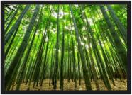 Quadro Decorativo Bambu Paisagem Natureza Decorações Com Moldura