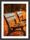 Quadro Decorativo Banco Folhagens Paisagens Natureza Decorações Com Moldura