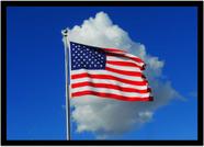 Quadro Decorativo Bandeira Estados Unidos País Salas Casa Lojas Escritório Quartos Com Moldura RC007
