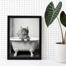 Quadro Decorativo Banheiro- Gato Banheira 33x24cm