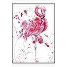 Quadro Decorativo Barcelona Flamingo 50X70 Cm