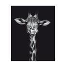 Quadro Decorativo Barcelona Girafa Pb 40X50 Cm