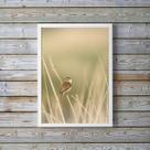 Quadro Decorativo Bege Passarinho Natureza 45x34cm