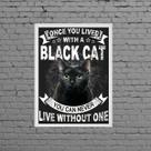 Quadro Decorativo Black Cat 45x34cm