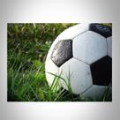 Quadro Decorativo Bola De Futebol 20x20cm Quadro Decorativo Bola De Futebol 20x20cm