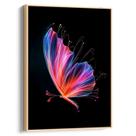 Quadro decorativo Borboleta Brilhante Dançando na Escuridão - Art Canvas