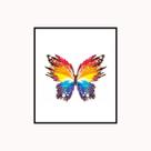 Quadro Decorativo Borboleta Colorida com Moldura