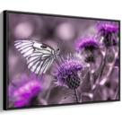 Quadro decorativo Borboleta Flutuando Sobre Flores de Ametista - Art Canvas