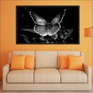 Quadro Decorativo Borboleta Preto e Branco Decorações Salas Com Moldura TT06 Quadro Decorativo Borboleta Preto e Branco Decorações Salas Com Moldura TT06