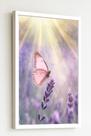 Quadro Decorativo Borboleta Rosa Raios - 70x50cm