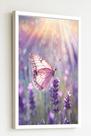 Quadro Decorativo Borboleta Rosa Raios Sol - 70x50cm
