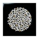 Quadro Decorativo Borboletas Brancas em Circulos Dourado
