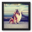 Quadro Decorativo - Border Collie - 33cm x 33cm - 120qdsp