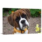 Quadro decorativo Boxer Dog com Tela em Tecido