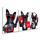 Quadro Decorativo Bulldog Francês Engraçado Sala Kit Quarto