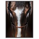 Quadro Decorativo c/ Moldura Animais Cavalo para Sala Quarto
