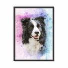 Quadro Decorativo Cachorro Border Collie Colorido com Moldura Quadro Decorativo Cachorro Border Collie Colorido com Moldura