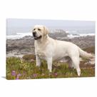 Quadro decorativo Cachorro Labrador Paisagem com Tela de Tecido