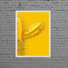 Quadro Decorativo Cacto Amarelo 33x24cm - com vidro