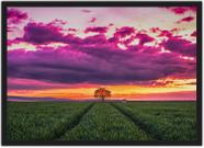 Quadro Decorativo Campo Bosque Árvore Paisagem Natureza Decorações Com Moldura
