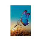 Quadro Decorativo Canvas Borboleta Dente De Leão Pôr Do Sol