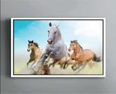 Quadro Decorativo Canvas Com Filete Animais Cavalo Branco Natureza Salas