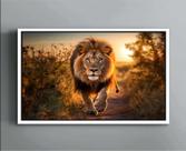 Quadro Decorativo Canvas Moldura Filete Leão Natureza Animais Paisagem