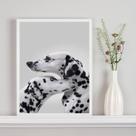 Quadro Decorativo Casal De Cães Dálmatas 45x34cm - com vidro Quadro Decorativo Casal De Cães Dálmatas 45x34cm - com vidro