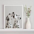 Quadro Decorativo Casal De Dálmatas 45x34cm - com vidro Quadro Decorativo Casal De Dálmatas 45x34cm - com vidro