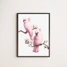 Quadro Decorativo Casal De Passarinhos Rosa 33x24cm - com vidro