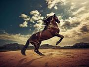 Quadro decorativo Cavalo 0,90x0,60