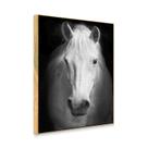 Quadro Decorativo Cavalo Branco Toque Elegante e Natural para sua Decoração