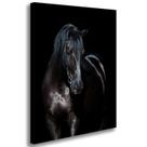 Quadro Decorativo Cavalo Negro Tela Grande Sala Quarto Escritório Tecido Canvas 80x50cm