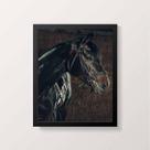 Quadro Decorativo Cavalo Perfil 45x34cm - com vidro