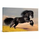 Quadro decorativo Cavalo Preto Pulando Para Sala Quarto Escritório