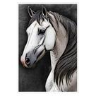 Quadro Decorativo Cavalo Sala Quarto Moldura Cx Alta 100x66 Titulo Moldura Branca Quadro Decorativo Cavalo Sala Quarto Moldura Cx Alta 100x66 Titulo Moldura Branca