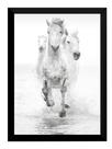 Quadro Decorativo Cavalos Brancos Natureza Animal