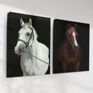 Quadro Decorativo Cavalos Kit 2 Quadros