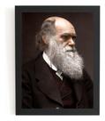 Quadro Decorativo Charles Darwin Arte 42x29cm