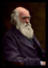 Quadro Decorativo Charles Darwin Artístico 42x29cm