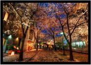 Quadro Decorativo Cidades Quioto Japão Paisagem Quartos Salas Com Moldura RC077