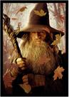 Quadro Decorativo Cinema Gandalf O Hobbit Filmes Quartos Salas Com Moldura RC043